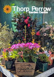 Thorp Perrow Garden Centre magazine cover
